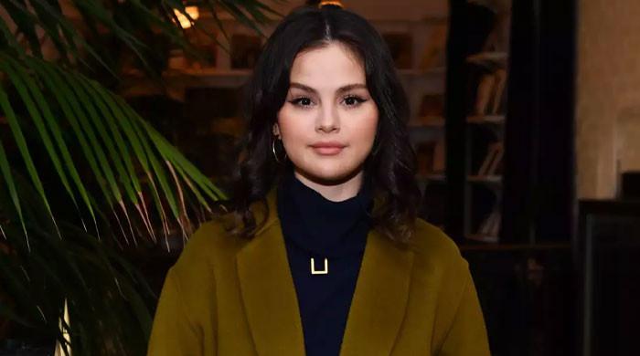 Real Reason Why Selena Gomez Purged Her Following List On Instagram