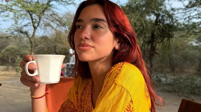 Dua Lipa Shares Glimpse Into Magical Trip To India Ahead Of 2024