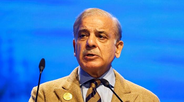 Premier Shehbaz to visit Egypt for D&8 summit this week