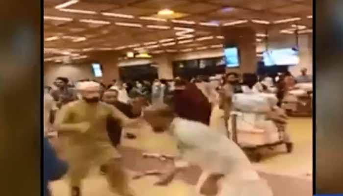 Watch: Fight breaks out between two groups of Umrah pilgrims at Karachi airport