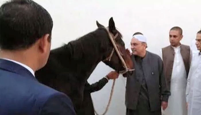 Asif Zardari presented six camels as a gift