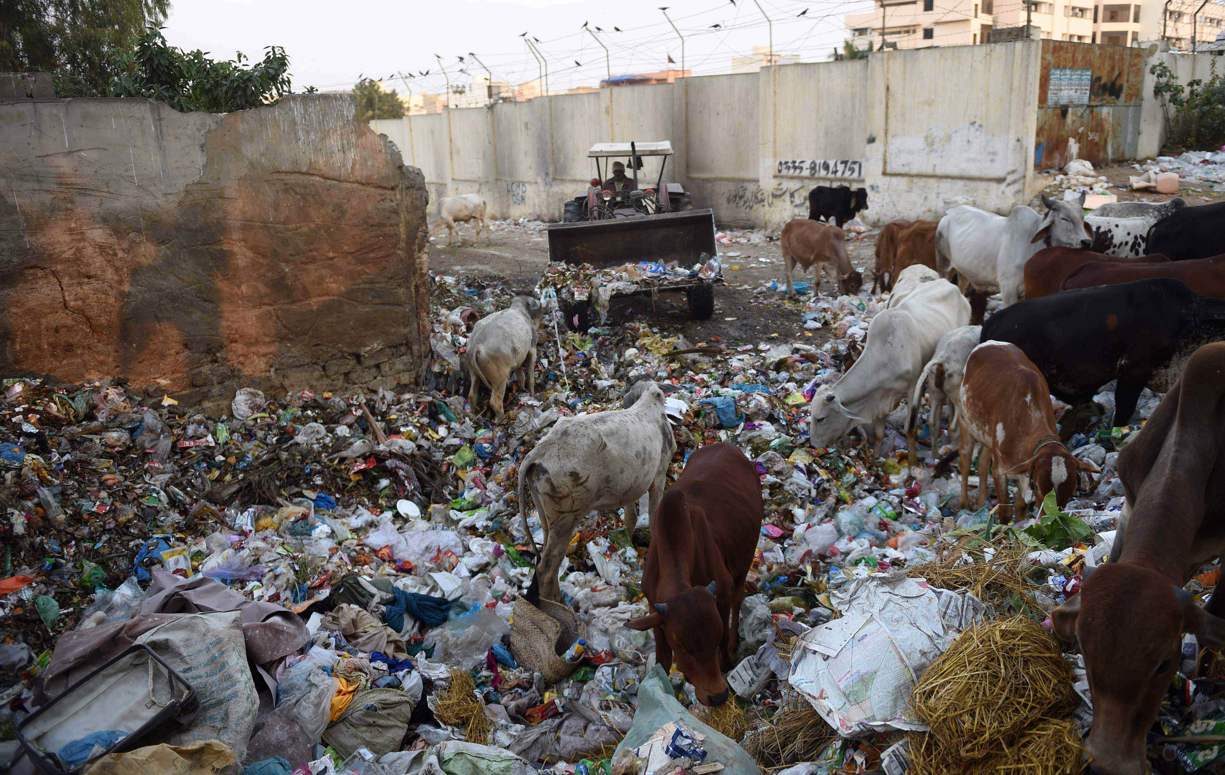 A municipal worker dumps garbage in a residential area of Karachi.