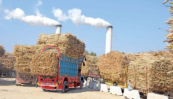 Punjab Blames Sugar Mills For Price Hike