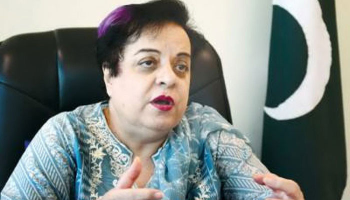 Govt trying to protect rights of children through reforms: Dr Shireen Mazari