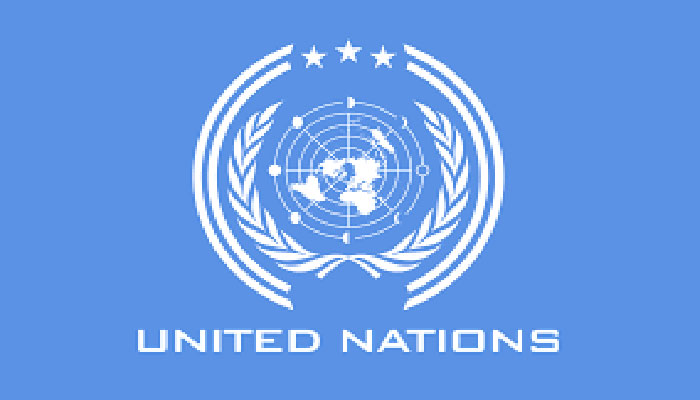 UN to finance projects in south Punjab