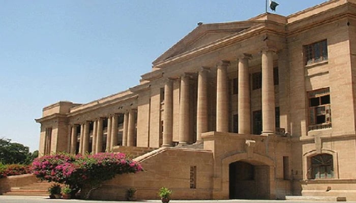 Baldia factory fire case: SHC takes exception to non-filing of appeals against acquittal of co-accused