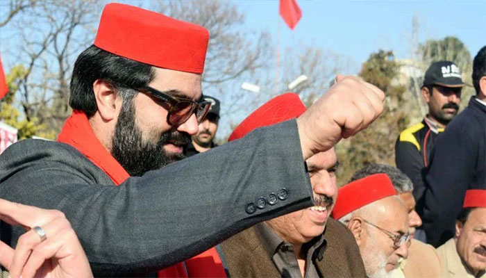 Pakhtuns made sacrifices for peace, says Aimal Wali