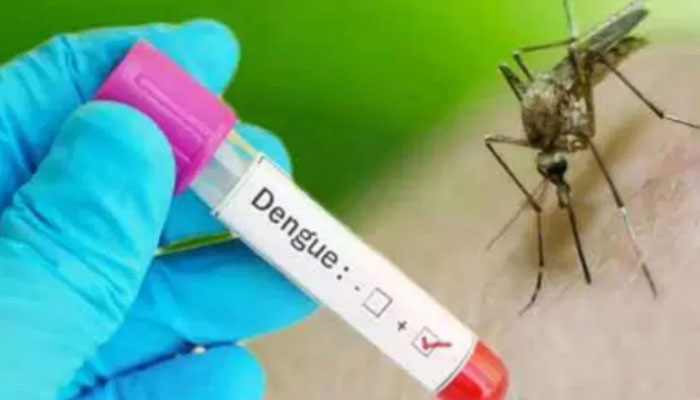 One dengue case reported in Punjab