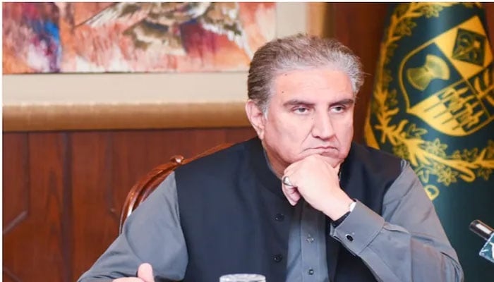 Foreign Minister Shah Mehmood Qureshi. File photo