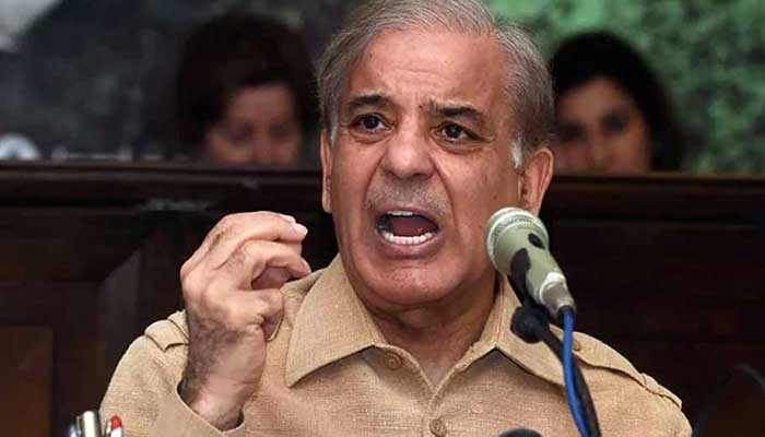 NAB ordinance akin to no-trust against Parliament: Shehbaz Sharif