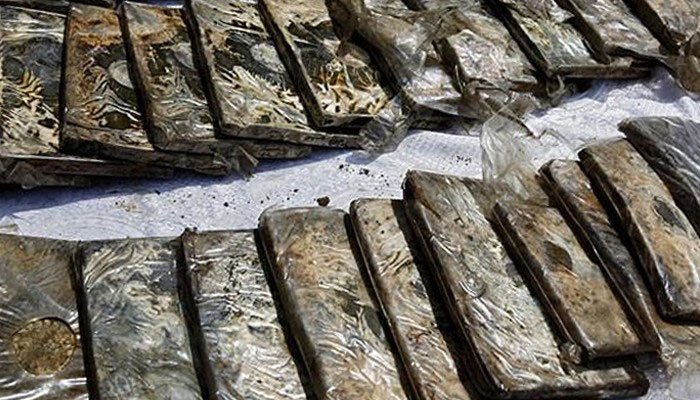 Customs seize 109kg hashish coming from Peshawar