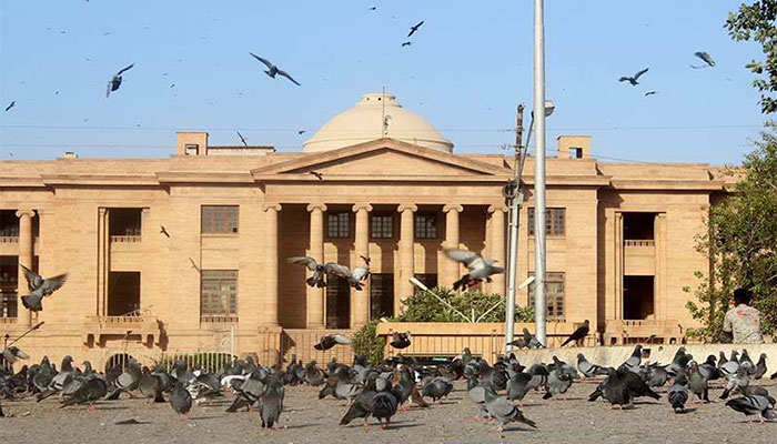 SHC orders removal of encroachments from along Malir River bank