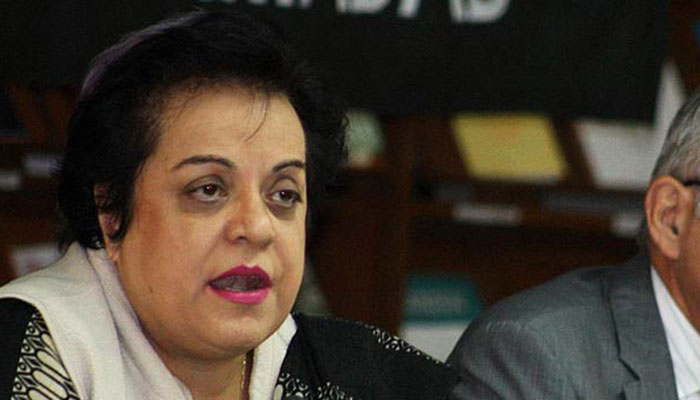 Bill on missing persons has gone missing: Shireen Mazari