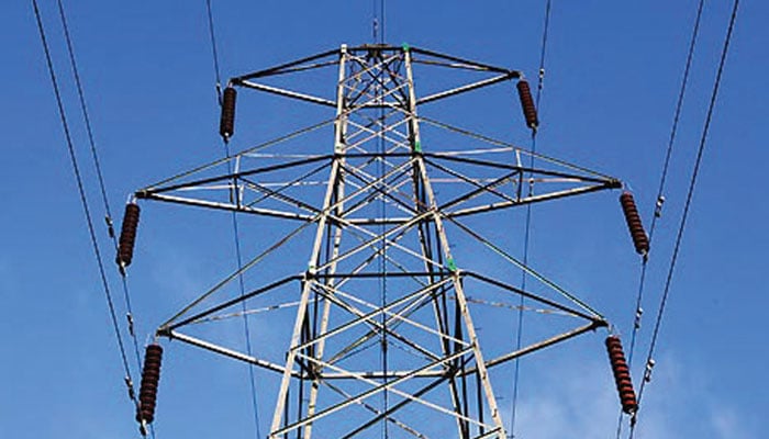 Power workers urge govt to stop privatisation of DISCOs