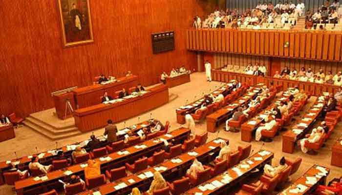 Senate hears of Pakistani woman’s plight in Bangalore