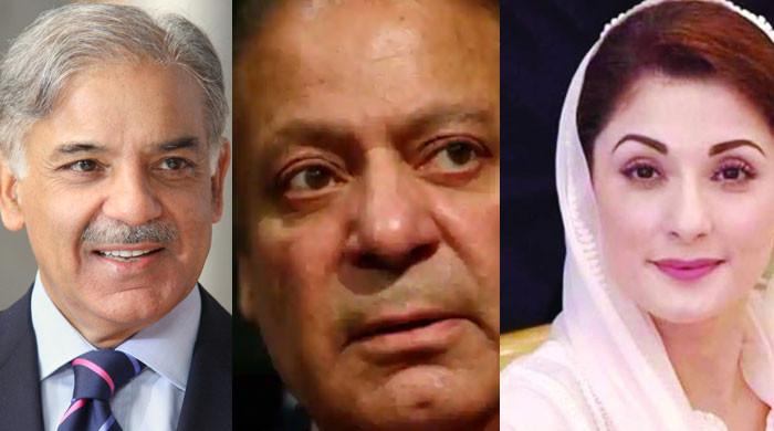 Shehbaz Sharif Maryam Say Nawaz Vindicated Moussavi Statement ‘a Slap In Imran’s Face’