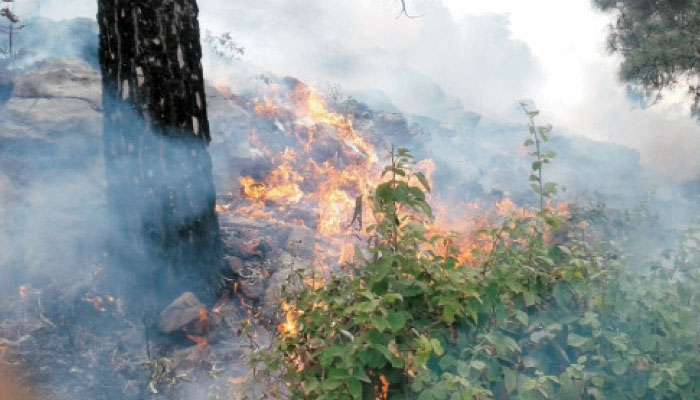 Meeting discusses prevention of forest fires