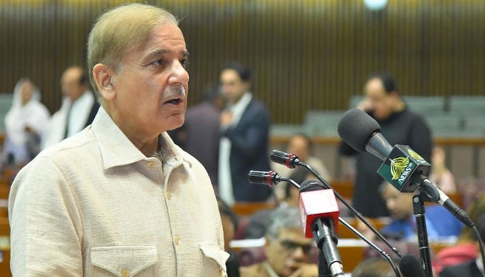 PM Shehbaz Sharif. Photo: The News/File