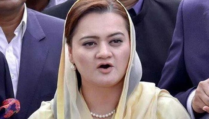 Marriyum Aurangzeb. Photo: The News/File