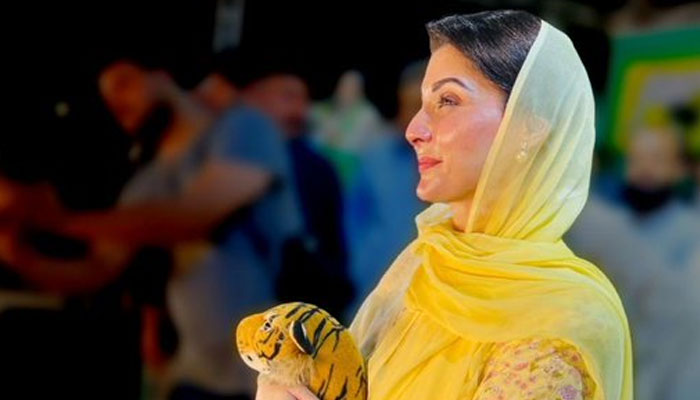 Maryam Nawaz seen holding a puffed tiger toy in her hands in a public rally in Layyah on July 13, 2022. Photo: Twitter