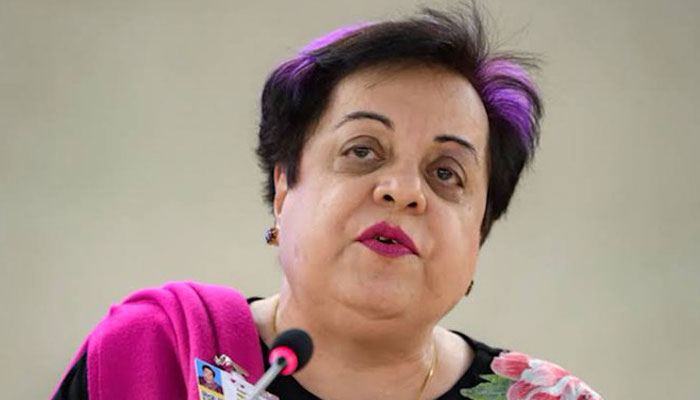 PTI Senior Vice President Dr Shireen Mazari. File photo