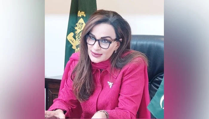 PTI’s ‘toxic discourse’ to affect relief operations: Sherry