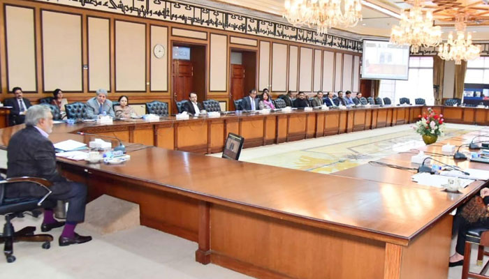 Finance Minister Ishaq Dar presiding over a meeting of the ECC of the Cabinet on November 18, 2022. PID