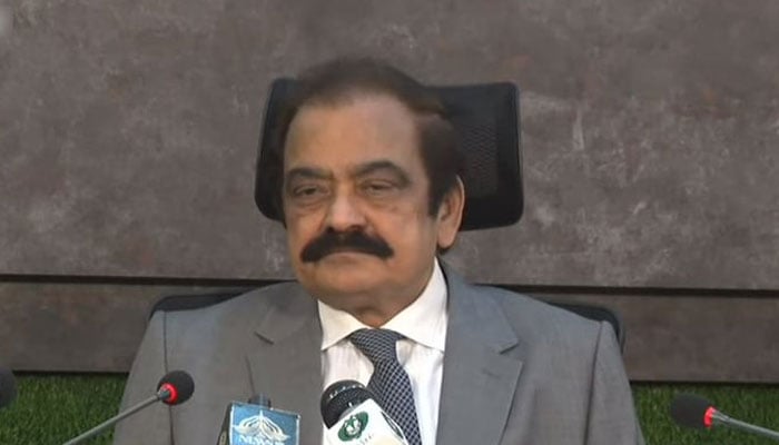 Federal Interior Minister Rana Sanaullah photographed on November 1, 2022. PID/File