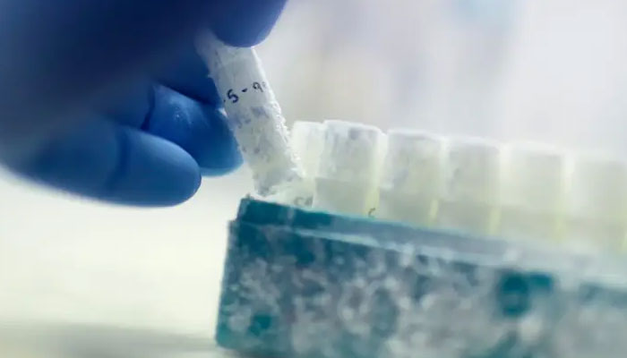 A scientist picks up a vial of frozen donor sperm samples. —AP Photo