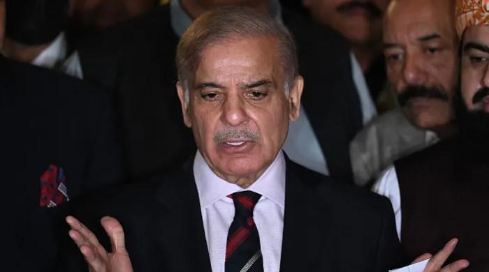 Political Stability Must For Economic Development: Shehbaz