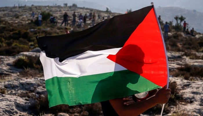 A person carries the Palestinian flag. — Middle East Institute