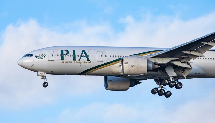 Pakistan International Airlines (PIA) aircraft can be seen in this mid-air. — AFP/File