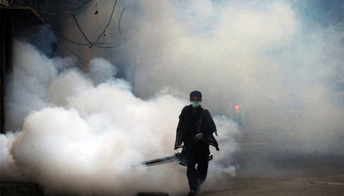 A worker during fogging anti-dengue spray. — AFP/File