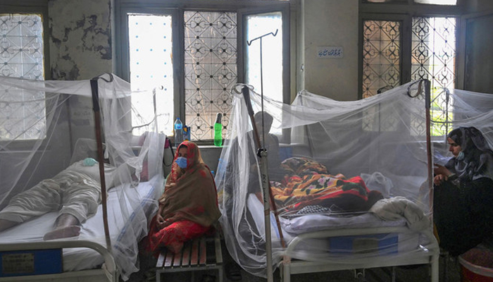 Relatives sit next to patients suffering from dengue fever resting under a mosquito net at a hospital in Lahore. — AFP/File