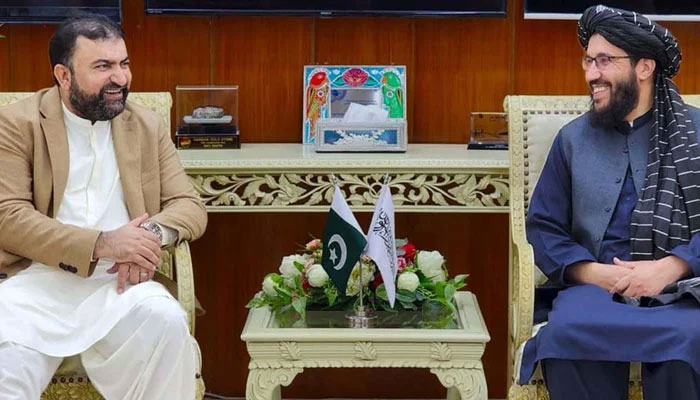 Afghan Charge D’affaires, Sardar Ahmad Sheikh called on Caretaker Interior Minister Sarfraz Bugti on Nov 2, 2023. — PID