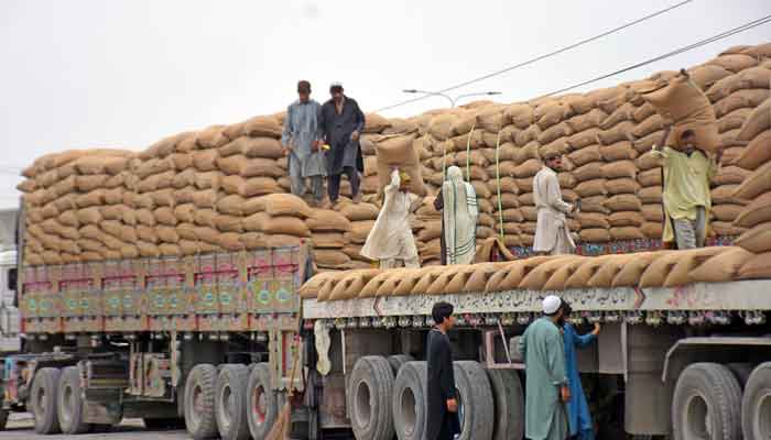 Labourers can be seen transferring the wheat sacks in Islamabad. —Online/file