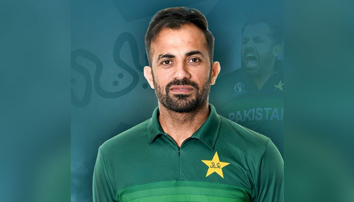 Wahab formally named Interim chief selector