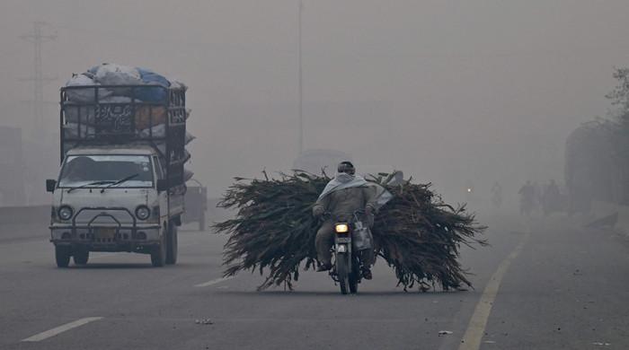 ‘Coal-based power generation in India, Pakistan main cause of smog’