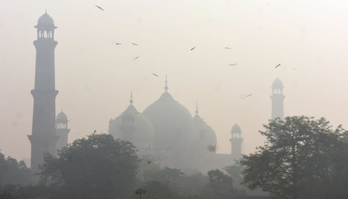 A view of massive smog in the atmosphere early in the morning in Lahore on November 24, 2023. — Online