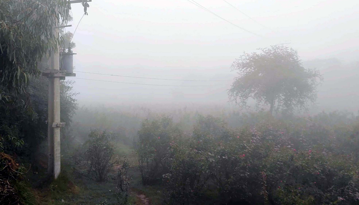 A view of smog covered the skies during foggy weather during the winter season, at Flowers Garden of Shahmir Khan Dahani Village in Larkana on Sunday, January 7, 2024. —PPI