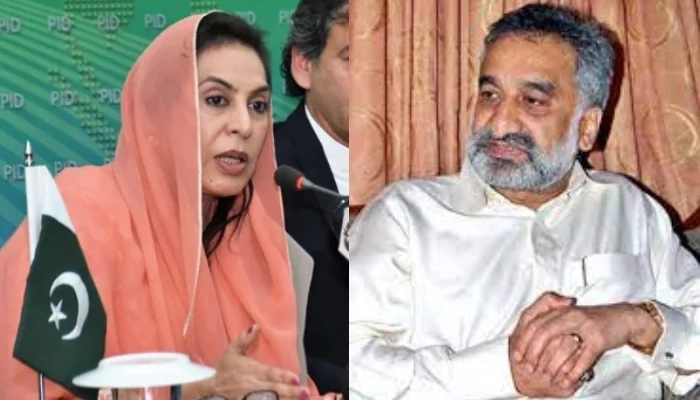 Former National Assembly speaker Fahmida Mirza (left) and former provincial minister Dr Zulfikar Mirza. — Facebook/Dr Fehmida Mirza/We Love D.r Zulfiqar mirza