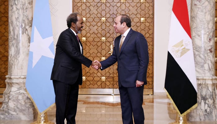 Sisi says Egypt will not allow threats to Somalia