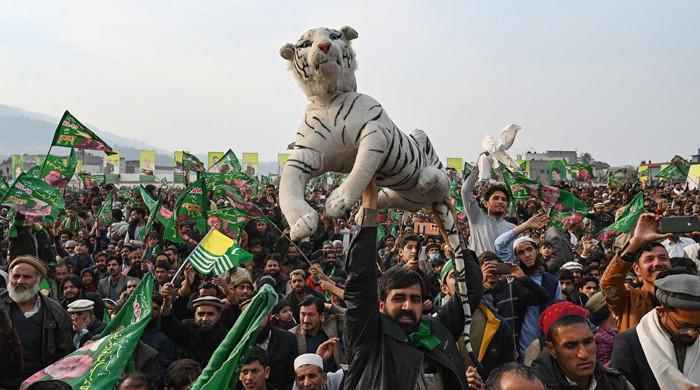 Election 2024 PMLN Emerges As Favourite In Punjab IPOR Survey   L 1151154 063955 Updates 