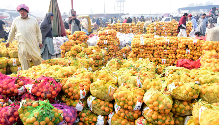 Wholesale vendors displayed Kinnow attraction for customers at the fruits and vegetable market in sector I-11, in the Federal Capital on January 20, 2024. — Online