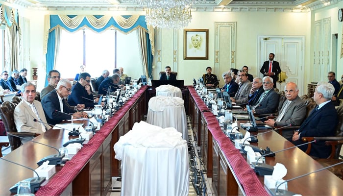This image shows a federal cabinet meeting chaired by interim PM Anwaar ul Haq Kakar in Islamabad on February 22, 2024. — PID