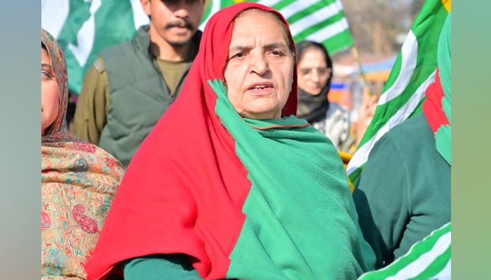 PTI-backed independent candidate Rehana Dar during a rally on February 5, 2024. — Facebook/Rehana Imtiaz Dar