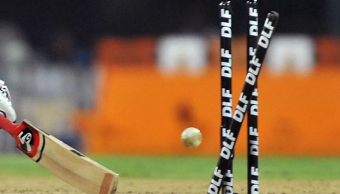 A representative image shows the bat and ball along with the stumps. — AFP/File