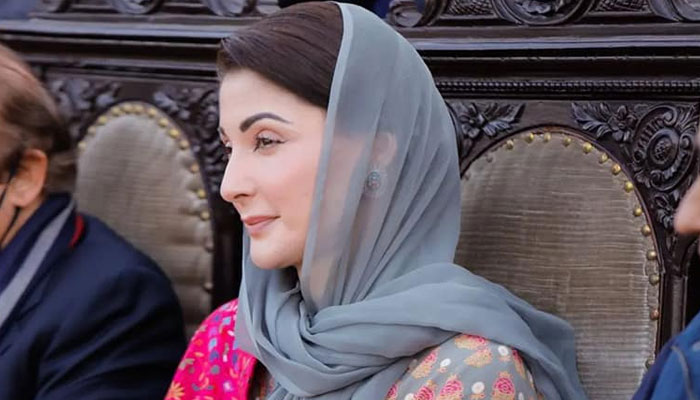 Punjab Chief Minister contender Maryam Nawaz Sharif can be seen in this image. — Facebook/Maryam Nawaz Sharif