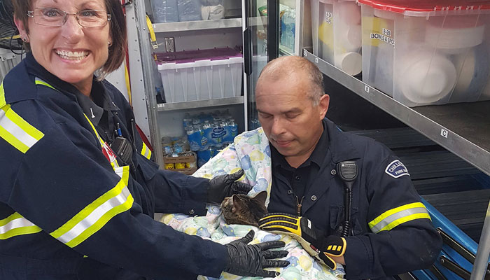 Chilliwack Fire Department fire prevention officer Lisa Axelson and fire investigator Peter Kuhr with a cat rescued from the laundry room in the aftermath of a huge multi-home fire on Safflower Crescent on July 11. — Chilliwack Fire Department