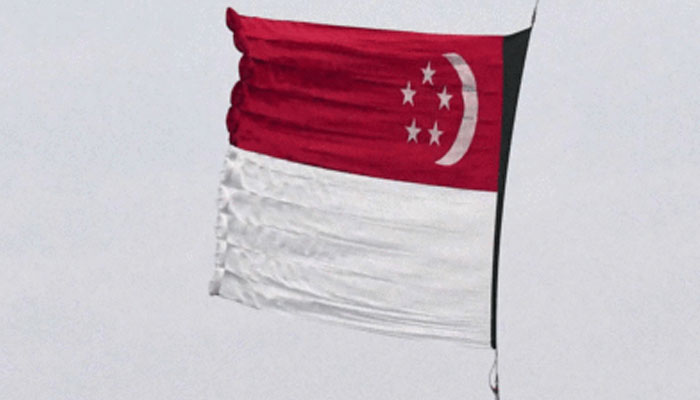 This representational image shows the flag of Singapore. — AFP/File